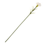 Imagen de Clavel blanco 59cm Orange con 86% de descuento online en Vea | SuperCupon