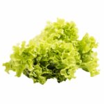 Imagen de Lechuga Hidropónica con 21% de descuento oferta online | SuperCupon