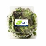 Imagen de Lechuga Lollo Rossa VIVA con 20% de descuento oferta online | SuperCupon