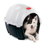 Imagen de Pet house medium Polinplast con 38% de descuento oferta online | SuperCupon