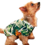 Imagen de Camisa Yupi The Pug Hawaiana Palmeras con 80% de descuento oferta online | SuperCupon