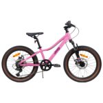Imagen de Bicicleta Infantil Aro 20 Frenos De Disco 7 Velocidades con 61% de descuento oferta online | SuperCupon