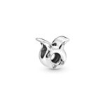 Imagen de Charm Tauro Resplandeciente con 50% de descuento oferta online | SuperCupon