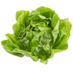 Imagen de Lechuga Butterhead Viva con 34% de descuento oferta online | SuperCupon