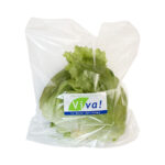 Imagen de Lechuga Americana Viva un con 36% de descuento oferta online | SuperCupon