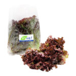Imagen de Lechuga Crespa Roja Viva con 36% de descuento oferta online | SuperCupon
