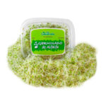 Imagen de Germinado de Alfalfa Envasado 125 g con 26% de descuento oferta online | SuperCupon