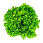 Imagen de Lechuga Hidropónica x un con 19% de descuento oferta online | SuperCupon