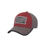 Imagen de Gorro Cat Graphic Patch 4090121 Rojo Hombre con 50% de descuento oferta online | SuperCupon