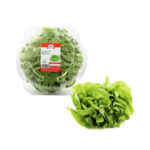 Imagen de Lechuga de Seda Frescas 130g con 23% de descuento oferta online | SuperCupon