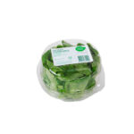 Imagen de Lechuga Hidropónica Verde Puro x un. con 39% de descuento oferta online | SuperCupon