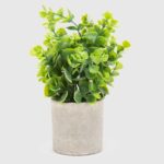 Imagen de Planta Artificial Pot Gris 24x7cm con 51% de descuento oferta online | SuperCupon