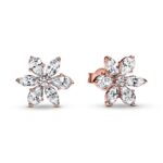Imagen de Aretes De Botón Herbario Brillante con 70% de descuento oferta online | SuperCupon