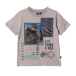 Imagen de Polo Niño Algodón con 51% de descuento oferta online | SuperCupon