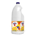 Imagen de Yogurt Bebible Gloria Durazno Galonera 1.7kg con 18% de descuento oferta online | SuperCupon