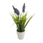 Imagen de Flores Krea En Maceta D4 con 50% de descuento oferta online | SuperCupon