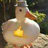 Foto del perfil de Fabricio